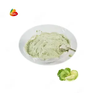 High Quality Dehydrated Cabbage White Powder Wholesale Cabbage Powder
