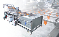 Industriële machine voor de verwerking van babywortelen, inclusief wassen, schillen, snijden en productielijn voor het wassen van wortelen.