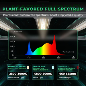 Lámpara de <span class=keywords><strong>Cultivo</strong></span> LED de Espectro Completo Regulable <span class=keywords><strong>para</strong></span> <span class=keywords><strong>Cultivo</strong></span> de Plantas en Interiores Mars Hydro EU US UK JP AU RU BR Stock 4x4 730W FC-E6500 - Product Image 2