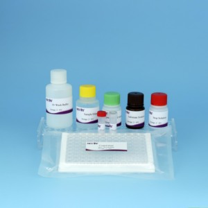 Pseudorabies Virus (PRV) gE Blocking ELISA <strong>Kit</strong> - DIVA-Compatible for Swine Antibody Detection - Product Image 6
