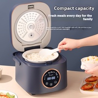 Cuiseur à riz électrique intelligent portable en plastique de 1,6L à 3,0L, petit modèle pour la maison et l'extérieur, cuisson rapide, avec tasse doseuse – Produit authentique