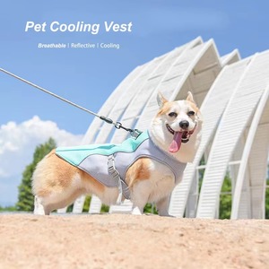 Harnais pour chien en maille respirante et rafraîchissante, réfléchissant et léger, avec laisse <span class=keywords><strong>d</strong></span>'entraînement pour chiots, pour la sécurité des promenades estivales des petits et grands chiens - Product Image 2