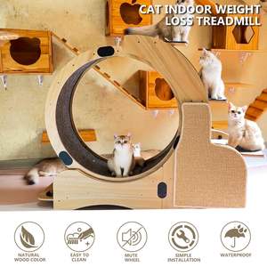 Roda penggaruk Sisal 5-in-1 untuk kucing, Olahraga Lari, roda Fitness untuk kucing dalam ruangan - Product Image 3