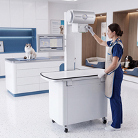 Système de radiographie numérique vétérinaire de classe II JL JLDRX32 pour cliniques vétérinaires