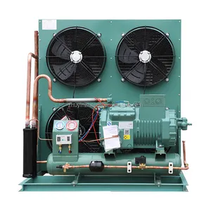 Customization walk in cooler condensing unit and evaporator