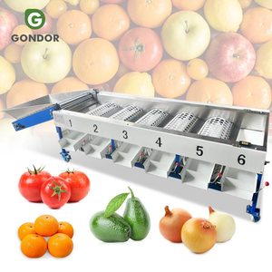 Machine de tri, de calibrage et de lavage pour tomates, dattes, fruits, myrtilles, avocats, oignons, pommes, oranges et pommes de terre - Product Image 1