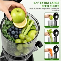 Extracteur de jus à large goulotte d'alimentation avec moteur 250W et rendement élevé en jus, presse-agrumes lent à mastication
