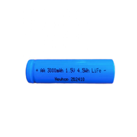 Batteries au lithium primaires en gros Lifes2 Li-Fe Li-FeSx FR6 L91 Batterie au lithium métallique Double Lfb Aa 2900mah Batterie Lr6 1.5v Aa