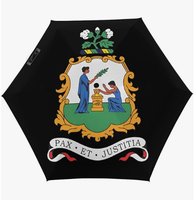 Parapluie de voyage personnalisé avec design du drapeau de Saint-Vincent-et-les-Grenadines, coupe-vent, pliable automatiquement, parapluie de soleil d'extérieur