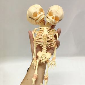 Modèle de squelette humain de bébé, squelette fœtal à deux têtes, déformité du squelette du nourrisson, décoration d'Halloween - Product Image 5