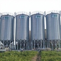 Silo Verticale in Acciaio per Cereali, Capacità 1000 Tonnellate, Assemblaggio a Bulloni, Silo per Stoccaggio Agricolo