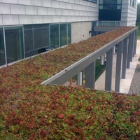 Jardinière carrée modulaire SOL écologique en plastique biodégradable pour toit vert, avec trous de drainage et auto-arrosage pour la maison