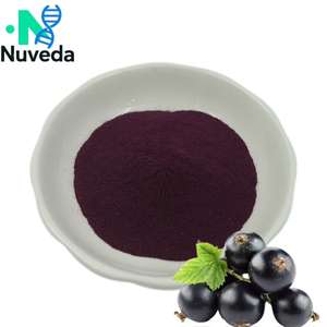 Jumlah besar organik sirup anthocyanin konsentrat makanan kelas makanan minuman jus kering alami bubuk ekstrak Blackcurrant <span class=keywords><strong>Bilberry</strong></span> - Product Image 1