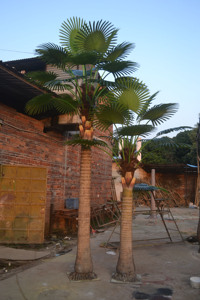 Nhà máy trực tiếp lớn dừa nhiệt đới cọ nhà máy nhân tạo bên ngoài cảnh quan cây cọ - Product Image 6