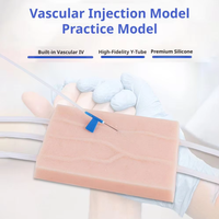 Modèle de coussin en silicone pour la formation à la ponction veineuse et à l'injection IV sur la peau humaine, ensemble de modèles pour la pratique de l'extraction de sang veineux