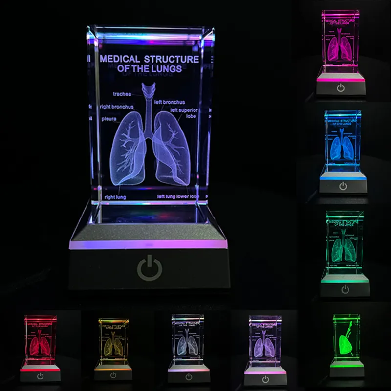 Decoração de mesa led luz noturna cubo cristal vidro anatomia aprendizagem 3d pulmão gravado a laser