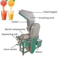 Presse-agrumes électrique Extracteur industriel de jus d'orange demi-coupé d'agrumes et d'orange Machine commerciale de fabrication de jus de fruits