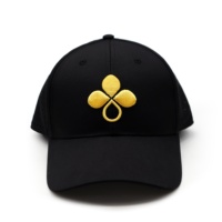 Gorras deportivas para hombre con logotipo personalizado y bordado para golf, Parche de PVC de goma, poliéster, perforación láser, ajuste seco