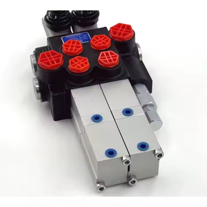 Válvula de Control Direccional Neumática Hidráulica P40 para Cilindros de Doble Acción |   Suministro Directo de Fábrica y Servicio OEM - Product Image 6