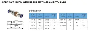 DVGW WRAS Kasin Press من النوع SS316L M Union مستقيم مع الضغط على كلا الطرفين G3/4-15