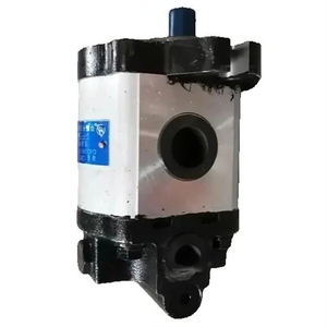 nouvelle pompe à huile hydraulique CBWG-FB-E316-ALX 320 - Product Image 1