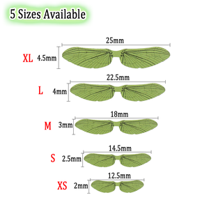 Matériel de montage de mouche d'aile d'insecte réaliste pré-coupé pour Stonefly Mayfly <span class=keywords><strong>bouteille</strong></span> mouche truite pêche leurre accessoires de pêche - Product Image 3