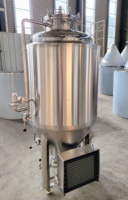 Fermenteur conique GHO 300L SUS 304 avec refroidisseur pour système de brassage de restaurant et bar, réservoir de fermentation de bière 220/380V