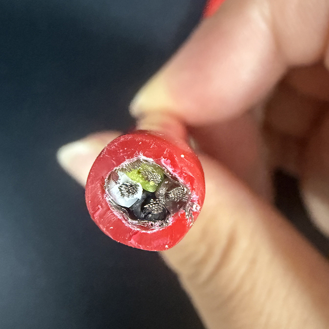 450/750V Silicone Rubber Cable Insulated Copper Wire Braided Shielded Silicone Rubber Sheathed Control Cable