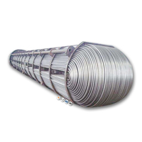 Convecteur de vapeur de bobine de tube en forme de U d'acier inoxydable personnalisé 316L 321 304 304L 370 904L 317L échangeur de chaleur pour le dessiccateur
