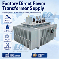 Transformateur de puissance immergé dans l'huile fiable S11 160 kVA 11 kV 400 V, 100 % cuivre, pour le réseau électrique de la République Centrafricaine