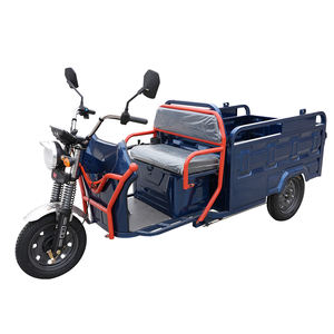 Triciclos Eléctricos <span class=keywords><strong>de</strong></span> <span class=keywords><strong>Carga</strong></span> Usados en Granjas, Suministro <span class=keywords><strong>de</strong></span> Fábrica, <span class=keywords><strong>Triciclo</strong></span> Eléctrico <span class=keywords><strong>de</strong></span> <span class=keywords><strong>Carga</strong></span> <span class=keywords><strong>de</strong></span> Baja Velocidad, <span class=keywords><strong>Precio</strong></span> - Product Image 2