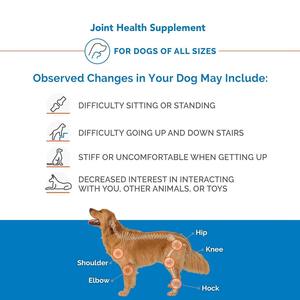 Logo privé suppléments de soins de santé pour animaux de compagnie capsule souple pour articulations pour réduire l'inflammation soulage la douleur - Product Image 3