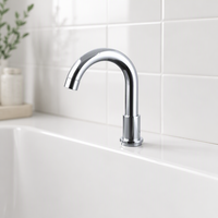 Bec de baignoire spa intérieur en acier inoxydable pour hôtel, système de douche cascade, vente en gros