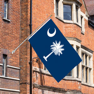 Bandera de <span class=keywords><strong>Carolina</strong></span> del Sur, venta al por mayor, personalizada, bandera nacional de todos los países, 3x5 pies, fibra de poliéster colgante para exteriores, entrega rápida personalizada - Product Image 3