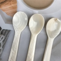 Cuillère en nacre DIY de luxe pour restaurant vietnamien, hôtel, dîner, cuillère à caviar, outil de maquillage anti-âge en coquillage