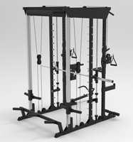 Doublewin Appareil d'entraînement fonctionnel universel moderne - Construction en acier au carbone et en métal pour un entraînement complet