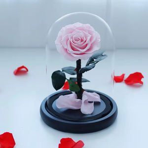 Regalo di Natale 2025: Rosa Eterna Preservata, Decorazione Floreale di Lusso Fatta a Mano, Stelo Lungo Naturale in Cupola di Vetro - Product Image 3