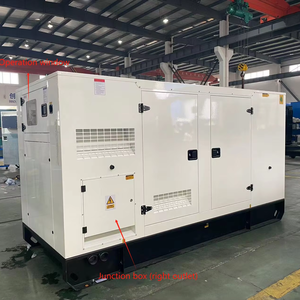 250KW 천연 가스 발생기 세트 핵심 엔진 부품 포함 발전기 - Product Image 1