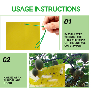 Giá rẻ bán buôn Pest kiểm soát kép hai mặt trái cây mạnh mẽ Fly bẫy lỗi Vàng dính Sticker Board siêu mạnh mẽ lực lượng dính - Product Image 4