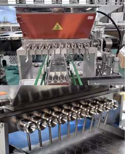 Machine automatique en acier inoxydable pour la fabrication de bonbons gélifiés à petite échelle, machine à bonbons, machine à remplir les bonbons mous et le chocolat, déposeuse de bonbons gélifiés - Product Image 6