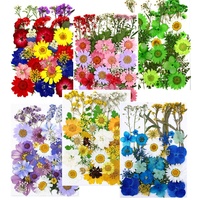 Senlesen — ensemble de Mini fleurs pressées, bon marché, cadre de pétales, fleurs séchées naturelles, pour décoration en résine