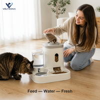 Distributeur automatique de nourriture et d'eau pour animaux de compagnie, distributeur de nourriture pour chats avec fenêtre de visualisation, bouteille d'eau inversée, 2-en-1