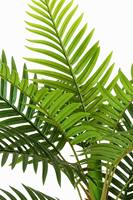 Plante artificielle Cycas Sago Palmier en pot, Arbre tropical vert pour la décoration intérieure de la maison, du bureau, de l'hôtel, du centre commercial, Vente en gros usine