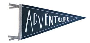 20*45cm Digital Printing University Felt Triangle <b>Banners</b> - Product Image 2