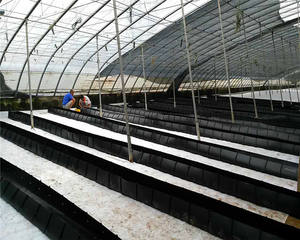 <span class=keywords><strong>Cocopeat</strong></span> Hydro ponic Grow Trog Systeme pp Roll Farming Rinne für Gewächshaus - Product Image 3