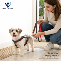 Harnais et laisse pour chien, ensemble en denim double face rouge avec surpiqûres jaunes pour chiens de petite, moyenne et grande taille