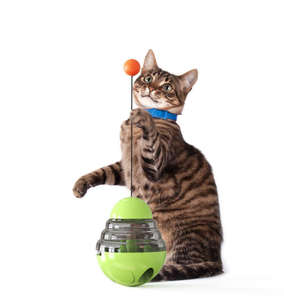 Giocattolo interattivo Tumbler per cani trattare dispensando Smart IQ Toy Perdite Palla di Cibo Piccolo Medio Grande Cucciolo di Pet Play <span class=keywords><strong>Gioco</strong></span> per Pet - Product Image 6