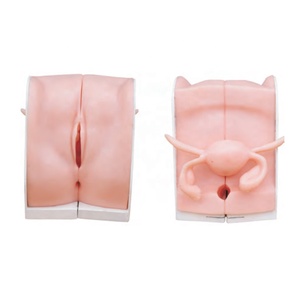 Modelo de entrenamiento médico, modelo de guía de anticoncepción masculina femenina para enseñanza escolar - Product Image 1