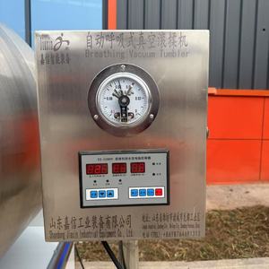 Macchina per Marinatura Sottovuoto con Rullo per Pesce, Frutti di Mare, Pollo, Carne, Manzo e Maiale - Product Image 2