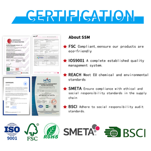 Vật Liệu Đặc Biệt Vàng Bạc Tông Quà Tặng Sang Trọng Mua Sắm Túi Mỹ Phẩm Quần Áo Bao Bì Túi Giấy Với Logo - Product Image 2